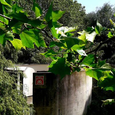 PA_1581.jpg